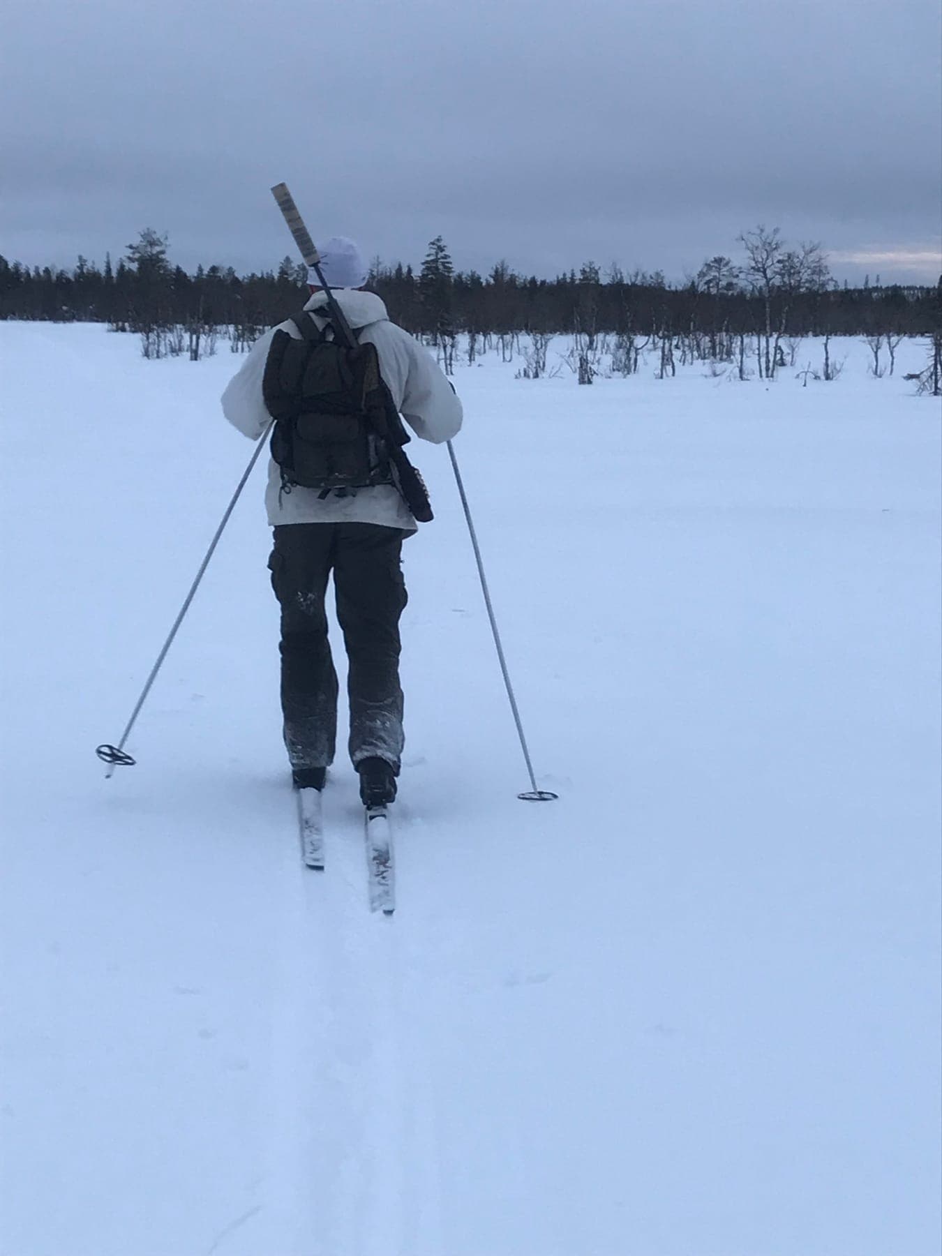 Jägare i snökamouflage på jaktskidor på väg ut över snötäckt myr